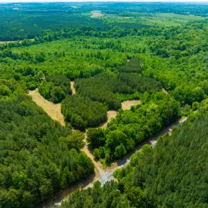Photo #47 of SOLD property in Off Woodsdale Road & Hideaway Trail, Roxboro, NC 88.1 acres