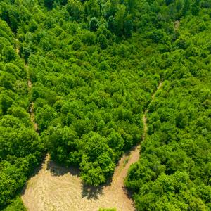 Photo #48 of SOLD property in Off Woodsdale Road & Hideaway Trail, Roxboro, NC 88.1 acres