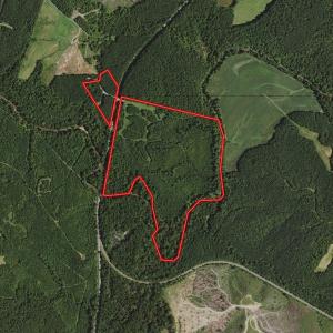 Photo #1 of SOLD property in Off Woodsdale Road & Hideaway Trail, Roxboro, NC 88.1 acres