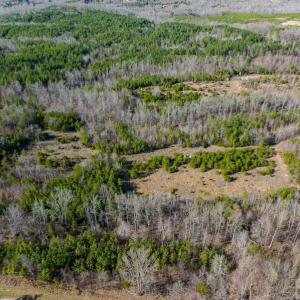 Photo #19 of SOLD property in Off Jeffries Road, Pelham, NC 49.0 acres
