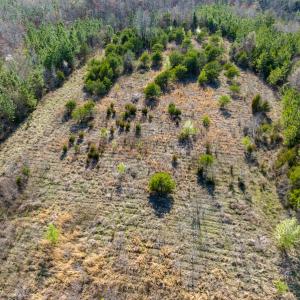 Photo #20 of SOLD property in Off Jeffries Road, Pelham, NC 49.0 acres
