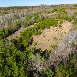Photo #23 of SOLD property in Off Jeffries Road, Pelham, NC 49.0 acres