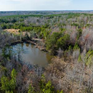 Photo #25 of SOLD property in Off Jeffries Road, Pelham, NC 49.0 acres