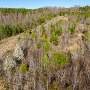 Photo #26 of SOLD property in Off Jeffries Road, Pelham, NC 49.0 acres