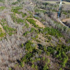 Photo #27 of SOLD property in Off Jeffries Road, Pelham, NC 49.0 acres