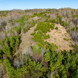 Photo #30 of SOLD property in Off Jeffries Road, Pelham, NC 49.0 acres