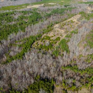 Photo #31 of SOLD property in Off Jeffries Road, Pelham, NC 49.0 acres