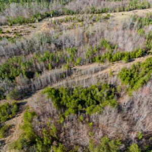 Photo #32 of SOLD property in Off Jeffries Road, Pelham, NC 49.0 acres