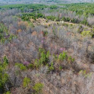 Photo #33 of SOLD property in Off Jeffries Road, Pelham, NC 49.0 acres