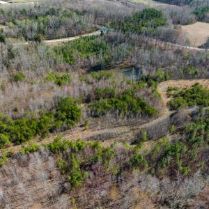 Photo #4 of SOLD property in Off Jeffries Road, Pelham, NC 49.0 acres