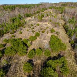 Photo #5 of SOLD property in Off Jeffries Road, Pelham, NC 49.0 acres