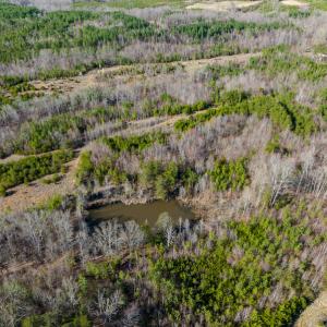 Photo #35 of SOLD property in Off Jeffries Road, Pelham, NC 49.0 acres