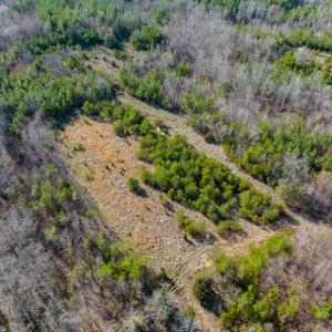 Photo #36 of SOLD property in Off Jeffries Road, Pelham, NC 49.0 acres
