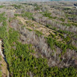Photo #37 of SOLD property in Off Jeffries Road, Pelham, NC 49.0 acres