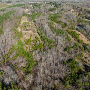 Photo #38 of SOLD property in Off Jeffries Road, Pelham, NC 49.0 acres