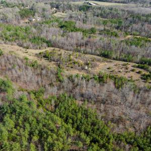Photo #40 of SOLD property in Off Jeffries Road, Pelham, NC 49.0 acres