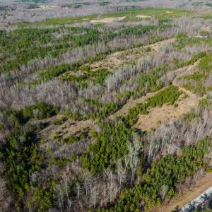 Photo #41 of SOLD property in Off Jeffries Road, Pelham, NC 49.0 acres