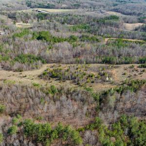 Photo #42 of SOLD property in Off Jeffries Road, Pelham, NC 49.0 acres