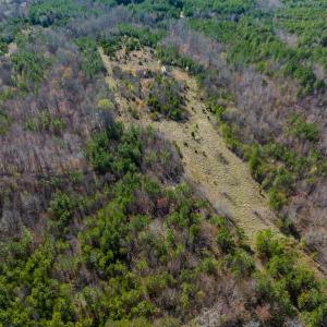Photo #43 of SOLD property in Off Jeffries Road, Pelham, NC 49.0 acres