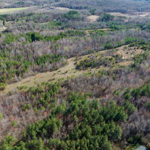Photo #44 of SOLD property in Off Jeffries Road, Pelham, NC 49.0 acres