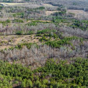 Photo #45 of SOLD property in Off Jeffries Road, Pelham, NC 49.0 acres