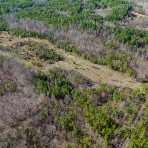Photo #46 of SOLD property in Off Jeffries Road, Pelham, NC 49.0 acres