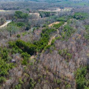 Photo #6 of SOLD property in Off Jeffries Road, Pelham, NC 49.0 acres