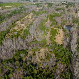 Photo #47 of SOLD property in Off Jeffries Road, Pelham, NC 49.0 acres