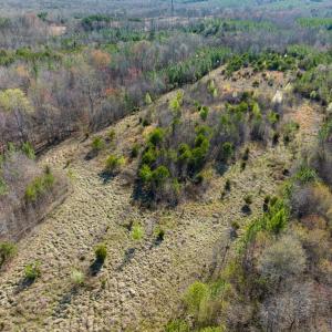 Photo #8 of SOLD property in Off Jeffries Road, Pelham, NC 49.0 acres