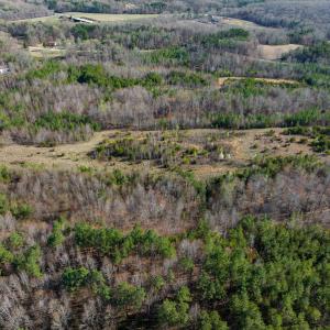 Photo #9 of SOLD property in Off Jeffries Road, Pelham, NC 49.0 acres