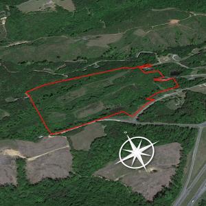 Photo #11 of SOLD property in Off Jeffries Road, Pelham, NC 49.0 acres