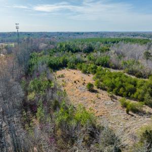 Photo #13 of SOLD property in Off Jeffries Road, Pelham, NC 49.0 acres
