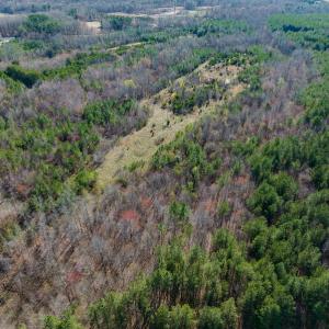 Photo #14 of SOLD property in Off Jeffries Road, Pelham, NC 49.0 acres