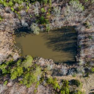 Photo #16 of SOLD property in Off Jeffries Road, Pelham, NC 49.0 acres