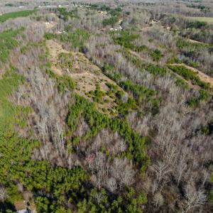 Photo #17 of SOLD property in Off Jeffries Road, Pelham, NC 49.0 acres