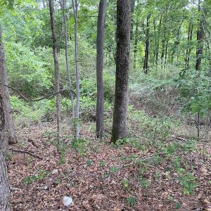 Photo #10 of SOLD property in 1910 Wade Stephenson Road, Holly Springs, NC 0.6 acres