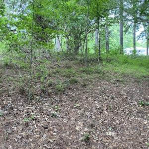 Photo #12 of SOLD property in 1910 Wade Stephenson Road, Holly Springs, NC 0.6 acres