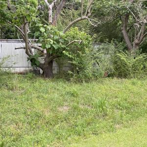 Photo #7 of SOLD property in 1910 Wade Stephenson Road, Holly Springs, NC 0.6 acres