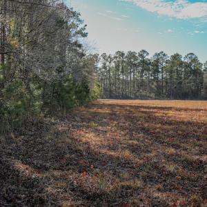 Photo #16 of SOLD property in Off Spearman Road, Bolton, NC 3.2 acres