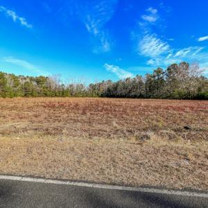 Photo #18 of SOLD property in Off Spearman Road, Bolton, NC 3.2 acres