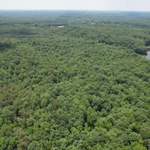 Photo #10 of Off Bell Road, Powhatan, VA 6.8 acres