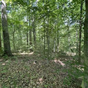 Photo #12 of Off Bell Road, Powhatan, VA 6.8 acres