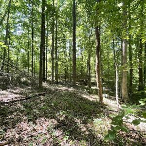 Photo #14 of Off Bell Road, Powhatan, VA 6.8 acres