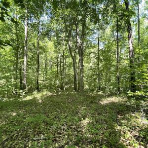 Photo #15 of Off Bell Road, Powhatan, VA 6.8 acres