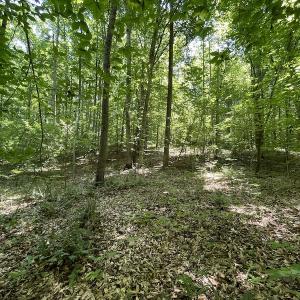 Photo #16 of Off Bell Road, Powhatan, VA 6.8 acres
