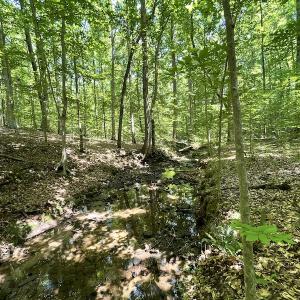 Photo #18 of Off Bell Road, Powhatan, VA 6.8 acres
