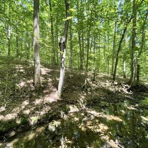 Photo #19 of Off Bell Road, Powhatan, VA 6.8 acres