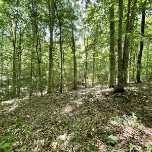 Photo #20 of Off Bell Road, Powhatan, VA 6.8 acres