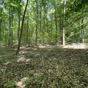 Photo #22 of Off Bell Road, Powhatan, VA 6.8 acres