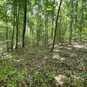 Photo #23 of Off Bell Road, Powhatan, VA 6.8 acres